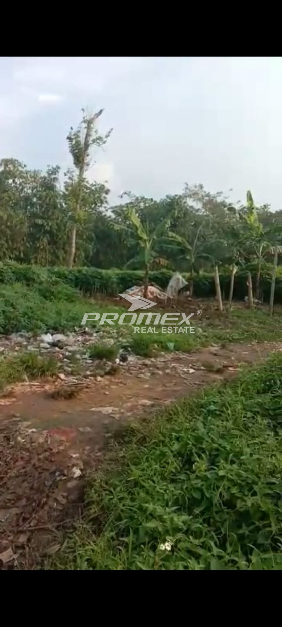 Dijual Lahan Tanah Kosong Gunung Sindur Bogor