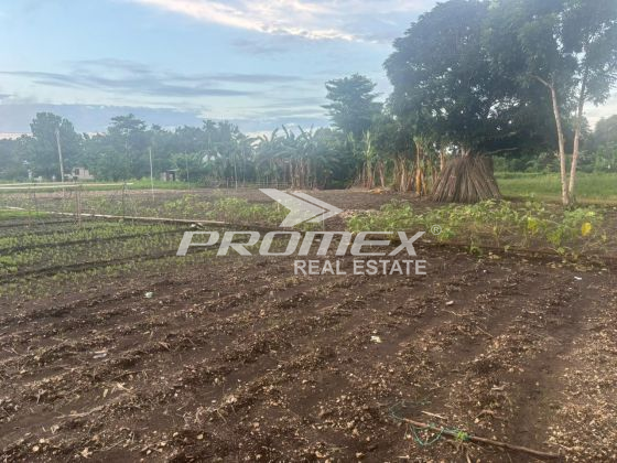 dijual-tanah-area-bello-kupang