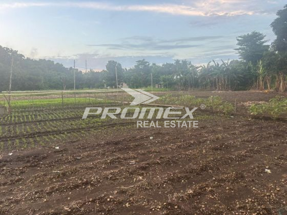 dijual-tanah-area-bello-kupang