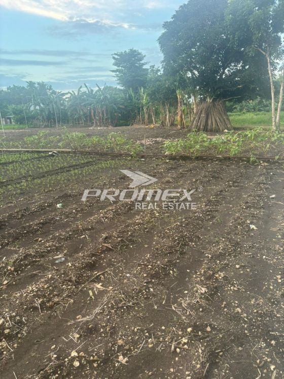 dijual-tanah-area-bello-kupang