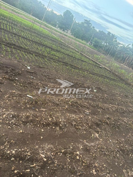 dijual-tanah-area-bello-kupang