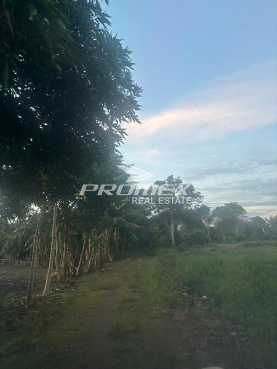 dijual-tanah-area-bello-kupang