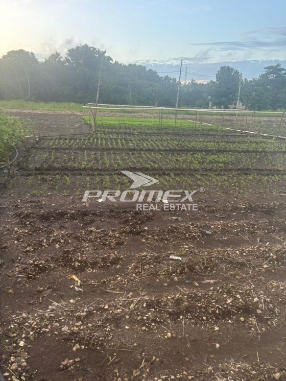 dijual-tanah-area-bello-kupang