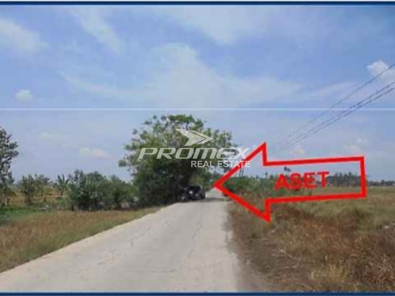 dijual-tanah-luas-strategis-di-pebayuran-bekasi