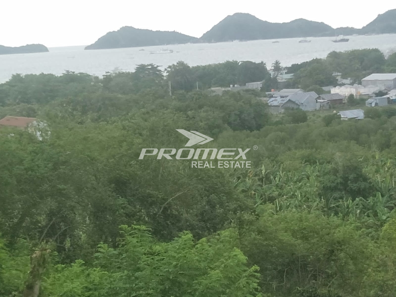 dijual-beautiful-land-bagus-utk-tempat-wisata-labuan-bajo