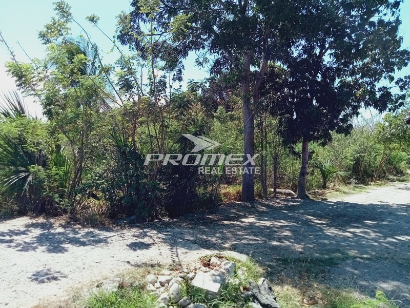di-jual-tanah-lokasi-strategis-pinggir-jalan-saya-cocok-buat-bisnis-area-jl-bajawa