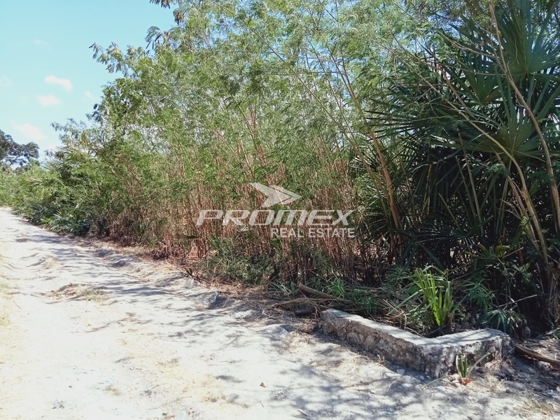di-jual-tanah-lokasi-strategis-pinggir-jalan-saya-cocok-buat-bisnis-area-jl-bajawa