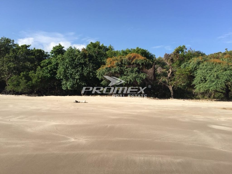 di-jual-tanah-lokasi-pantai-desa-bone-cocok-buat-bisnis-dan-investasi