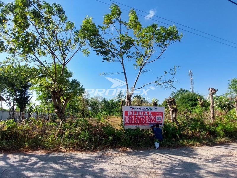 di-jual-tanah-rata-tidak-curam-lokasi-strategis-cocok-buat-bisnis-dan-investasi-area-baumata-kota-kupang-ntt