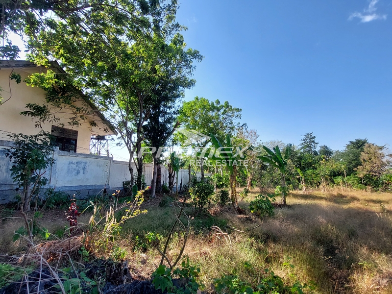 di-jual-tanah-rata-tidak-curam-lokasi-strategis-cocok-buat-bisnis-dan-investasi-area-baumata-kota-kupang-ntt