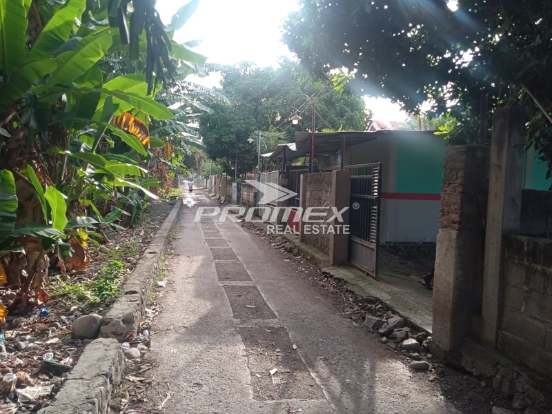 dijual-rumah-tinggal-area-sikka-maumere