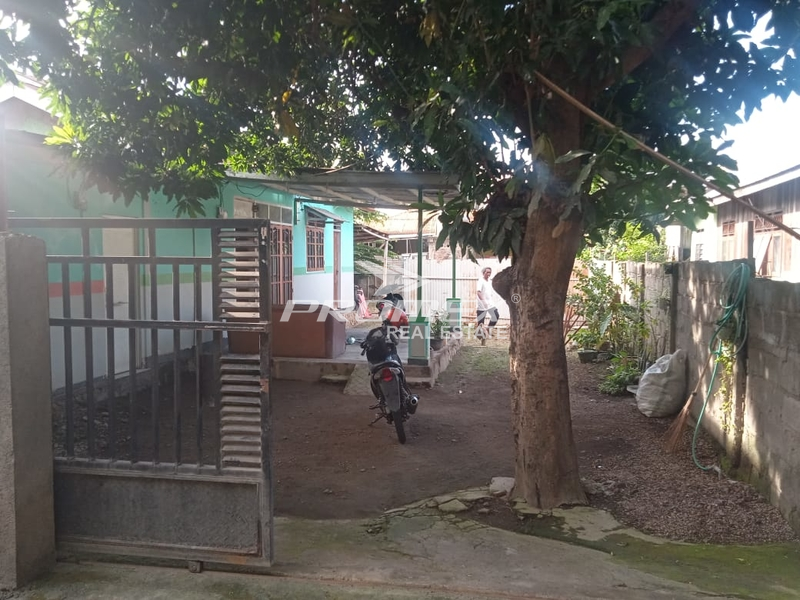 dijual-rumah-tinggal-area-sikka-maumere