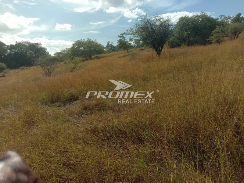 dijual-tanah-camplong-kec-fatuleu-kab-kupang