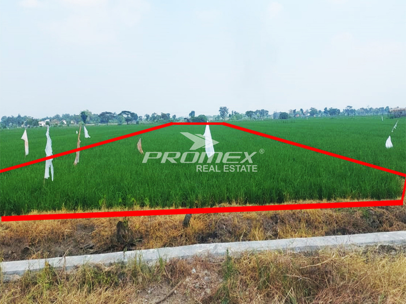 dijual-tanah-sawah-di-baki-sukoharjo