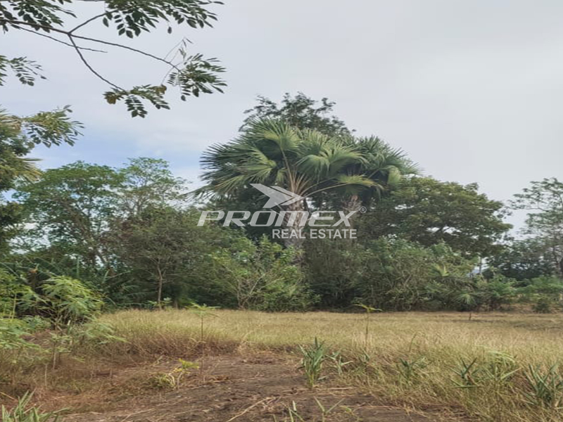 di-jual-tanah-murah-lokasi-strategis-daerah-pukdale-kota-kupang-ntt