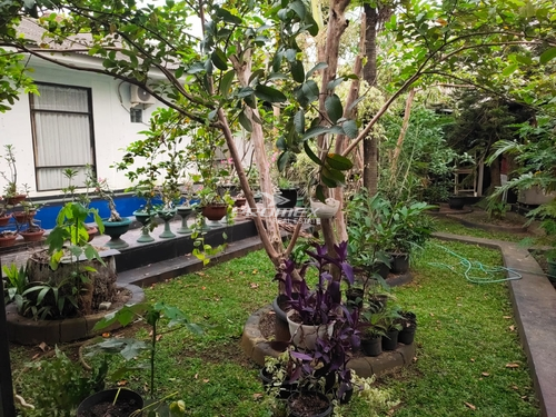 dijual-tanah-kebun-datar-di-bojong-kulur-bogor