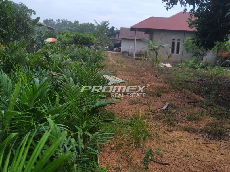 dijual-tanah-strategis-lokasi-trans-kalimantan