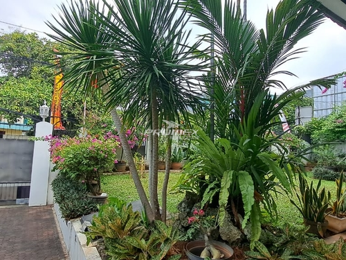 rumah-asri-2-lantai-siap-huni-lokasi-strategis-pinggir-jalan-raya-area-pancoran-jakarta-selatan