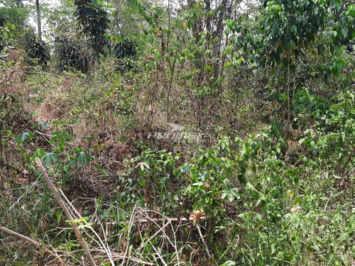 dijual-tanah-lebar-muka-30-meter-di-desa-cibadak-tanjung-sari-bogor