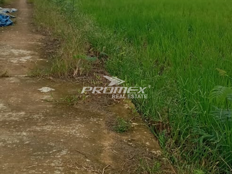 dijual-murah-tanah-area-kab-kutai-kartanegara-kalimantan-timur