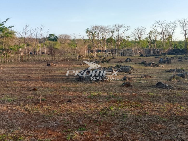 di-jual-tanah-murah-lokasi-strategis-cocok-buat-investasi-dan-bisnis-area-kupang-barat-ntt