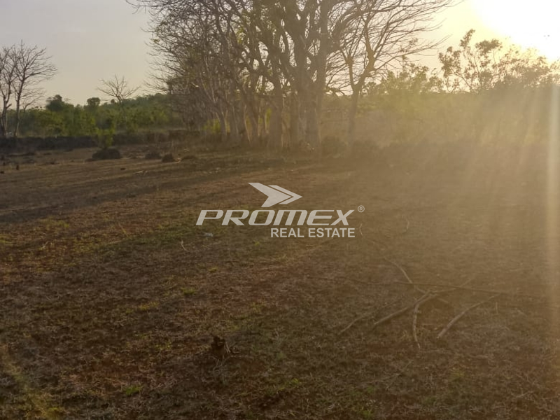 di-jual-tanah-murah-lokasi-strategis-cocok-buat-investasi-dan-bisnis-area-kupang-barat-ntt