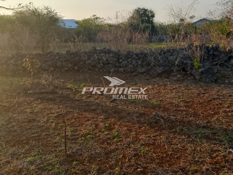 di-jual-tanah-murah-lokasi-strategis-cocok-buat-investasi-dan-bisnis-area-kupang-barat-ntt