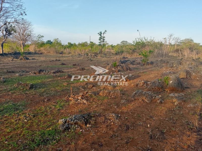 di-jual-tanah-murah-lokasi-strategis-cocok-buat-investasi-dan-bisnis-area-kupang-barat-ntt