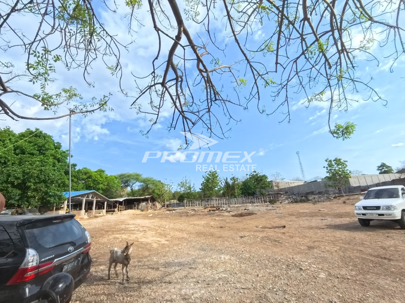 di-jual-tanah-dan-gudang-murah-lokasi-strategis-cuma-3-menit-dari-jalan-utama-area-pergudangan-alak-kota-kupang-ntt