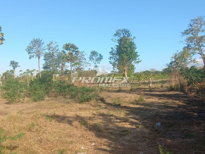 dijual-tanah-luas-area-desa-manusak-kab-kupang