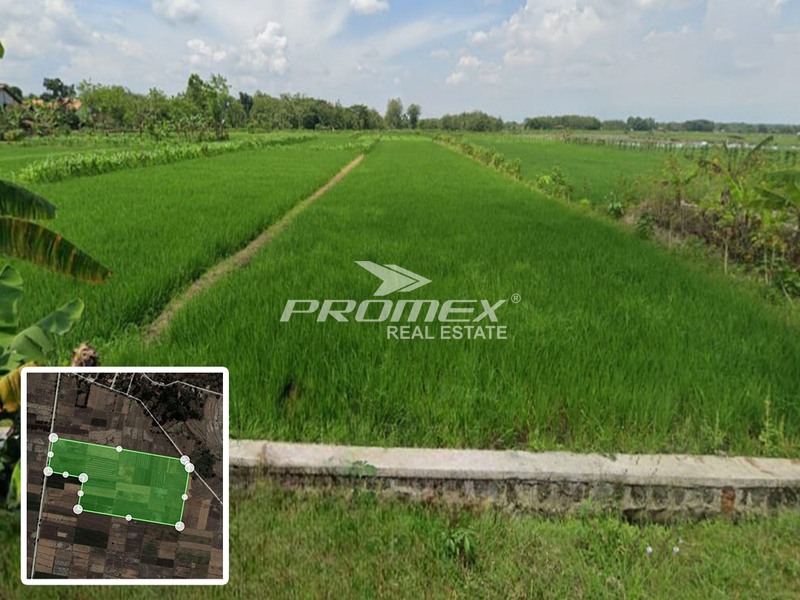 dijual-tanah-sawah-di-sumberlawang-sragen