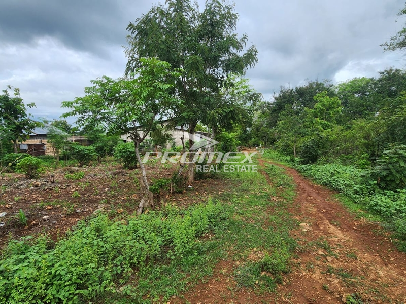 di-jual-tanah-murah-lokasi-strategis-tanah-rata-posisi-hook-area-matani-kota-kupang-ntt
