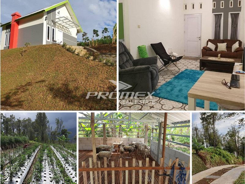 dijual-rumah-cantik-siap-huni-di-jenawi-karanganyar