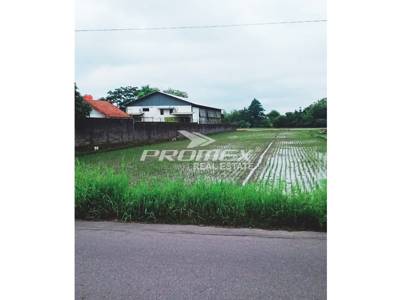 dijual-tanah-sawah-di-delanggu-klaten