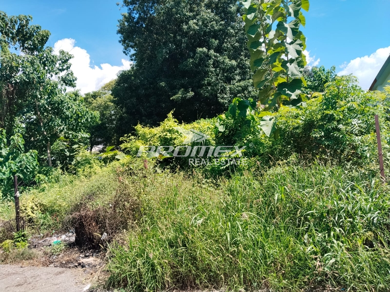 dijual-tanah-kosong-area-fontein-kota-kupang