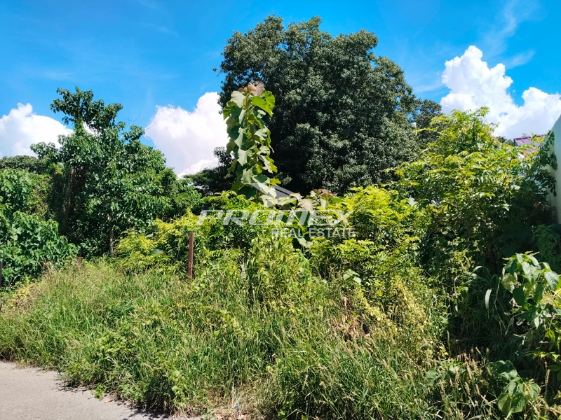 dijual-tanah-kosong-area-fontein-kota-kupang