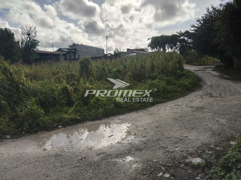 dijual-tanah-area-pondok-sawah-tofa-kupang-ntt