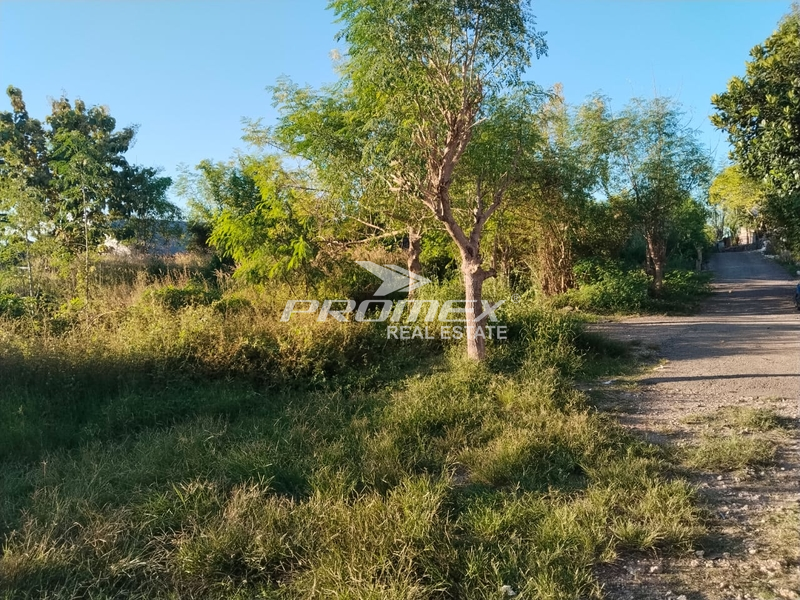 dijual-tanah-area-kayu-putih-kupang