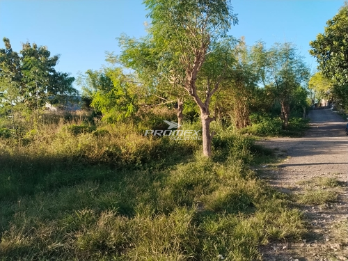 dijual-tanah-area-kayu-putih-kupang