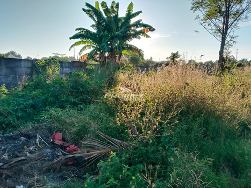 dijual-tanah-area-kayu-putih-kupang