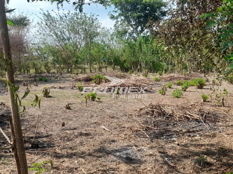 dijual-tanah-area-desa-manusak-kab-kupang