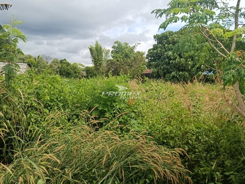 dijual-tanah-area-liliba-kota-kupang
