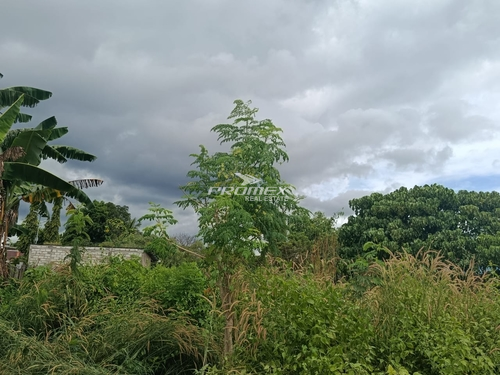 dijual-tanah-area-liliba-kota-kupang