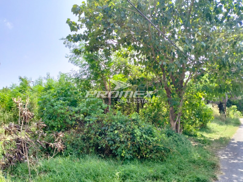 dijual-tanah-area-liliba-kupang