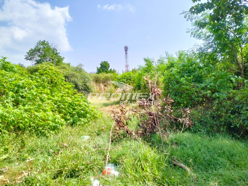 dijual-tanah-area-liliba-kupang