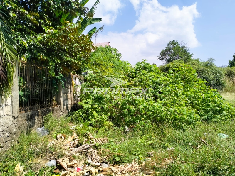 dijual-tanah-area-liliba-kupang