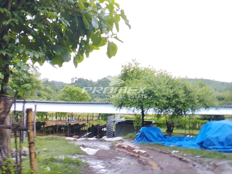 dijual-cepat-tanah-di-sumbawa-sumbawa