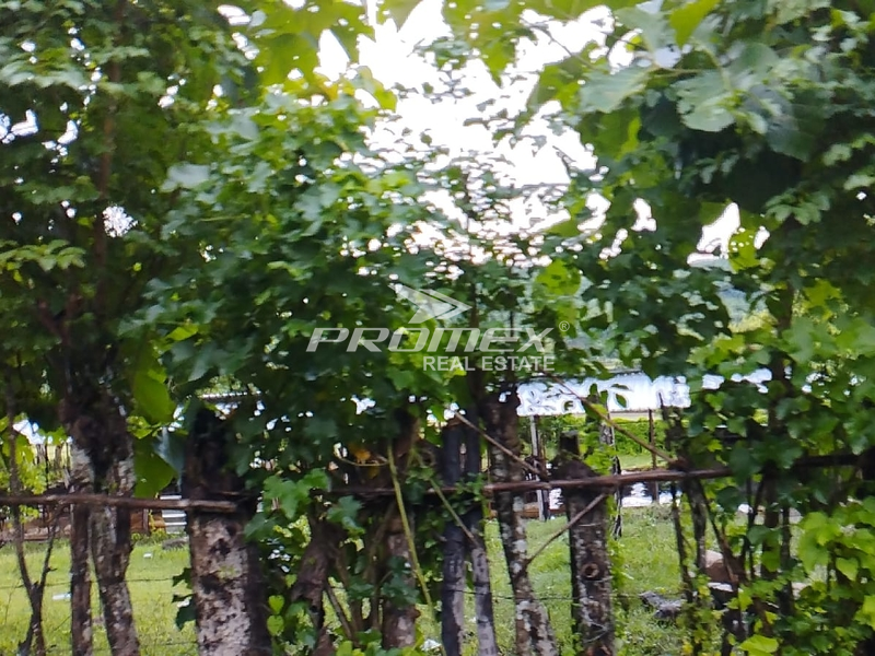 dijual-cepat-tanah-di-sumbawa-sumbawa