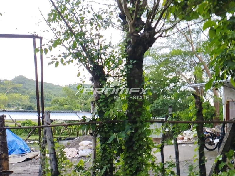 dijual-cepat-tanah-di-sumbawa-sumbawa