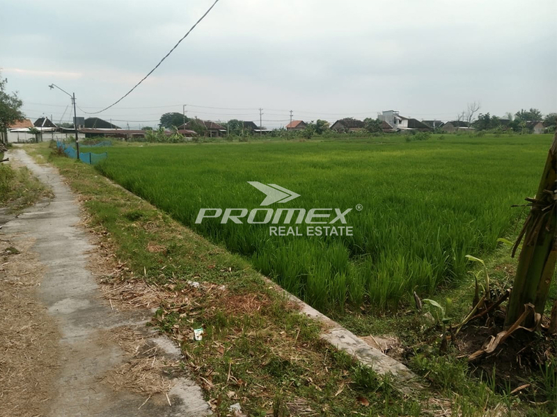dijual-tanah-sawah-di-ngamban-karanganyar